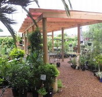 Country Elegance Gardens and Gifts - Accommodation Cairns