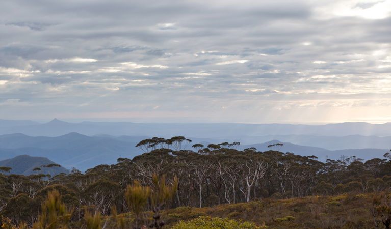 Budawang NSW Accommodation Cairns