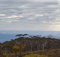 Mount Budawang trail - Accommodation Cairns