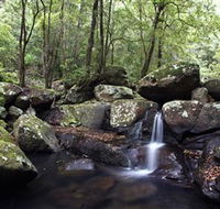 Kangaroo River - Accommodation Cairns