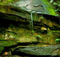 Strickland State Forest - Accommodation Cairns