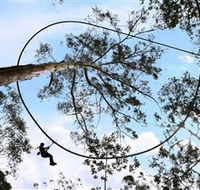TreeTops Crazy Rider - Accommodation Cairns