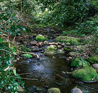 Macquarie Pass National Park - Accommodation Cairns