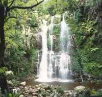 Budderoo National Park - The Falls Walk - Accommodation Cairns