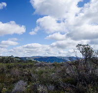 Barren Grounds Nature Reserve - Accommodation Cairns