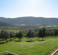 Hastings Valley Olives - Accommodation Cairns