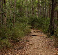 Pigeon House Mountain Didthul walking track - Accommodation Cairns