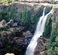 Minnamurra Rainforest Centre Budderoo National Park - Accommodation Cairns