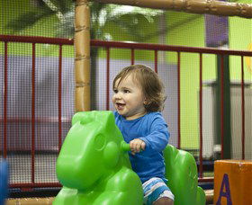 Monkey Mania EQ - Accommodation Cairns 3