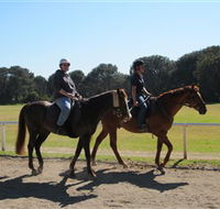 Centennial Parklands Equestrian Centre - Accommodation Cairns