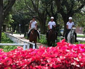 Centennial Parklands Horse Ride - Accommodation Cairns 1