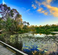 Berrinba Wetlands - Accommodation Cairns
