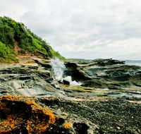 Glenrock State Conservation Area - Accommodation Cairns