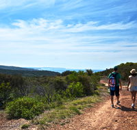Moonee Beach trail - Accommodation Cairns