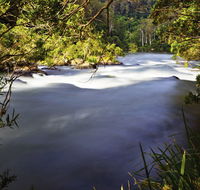 Nymboi-Binderay National Park - Accommodation Cairns