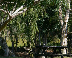 Shannon Brook NSW Accommodation Cairns