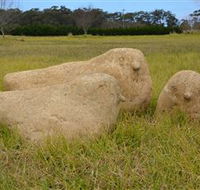 Unreal Rocks Statue Gallery - Accommodation Cairns
