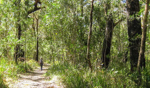 Seven Mile Beach National Park - Accommodation Cairns 2