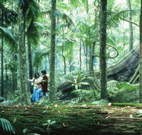 Illinbah circuit - Accommodation Cairns