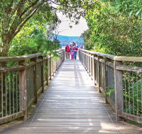 Skywalk lookout - Accommodation Cairns
