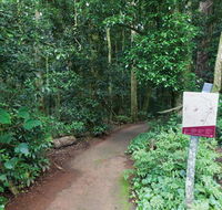 Walk with the Birds boardwalk - Accommodation Cairns