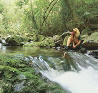 Dave's Creek circuit - Accommodation Cairns