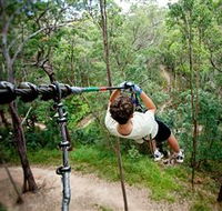 TreeTop Challenge - Accommodation Cairns