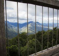 Dorrigo Rainforest Centre - Accommodation Cairns