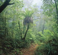 Wagawn - Accommodation Cairns