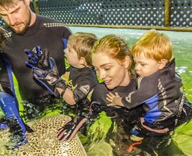 Taylors Beach NSW Accommodation Cairns