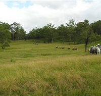 Numinbah Valley Adventure Trails - Accommodation Cairns