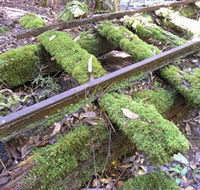 Wootton Historical Railway Walk - Accommodation Cairns