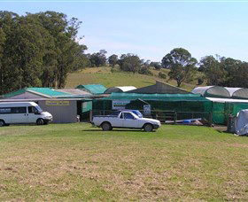 Tinonee Orchid Nursery - Accommodation Cairns 0