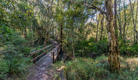 Dawson River Walking Track - Accommodation Cairns 1