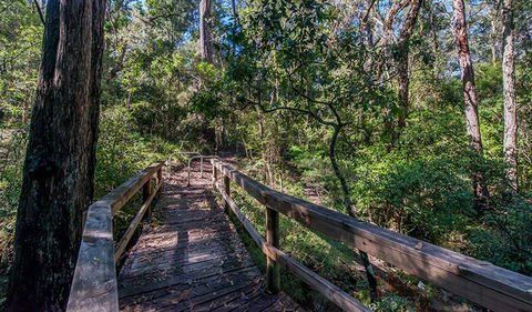 Dawson River Walking Track - Accommodation Cairns 3