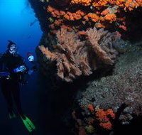 Gotham City Dive Site - Accommodation Cairns