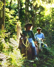 Chatham NSW Accommodation Cairns