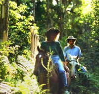 Clarendon Forest Retreat Horse Riding - Accommodation Cairns