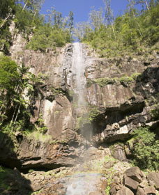 The Channon NSW Accommodation Cairns