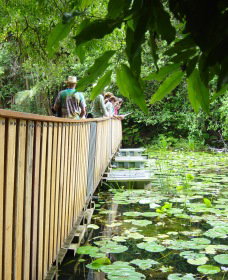 Lagoon Grass NSW Accommodation Cairns