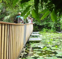 Rocky Creek Dam - Accommodation Cairns