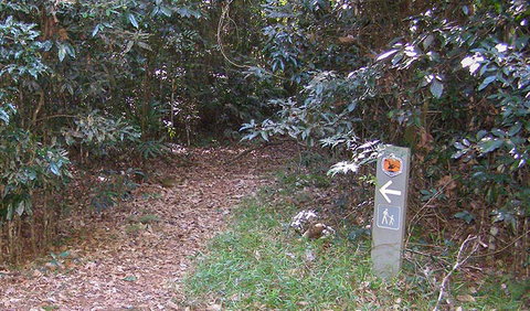 Big Scrub Loop Walking Track - Accommodation Cairns 2