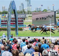 Gold Coast Turf Club - Accommodation Cairns