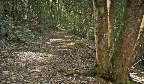 Whian Whian State Conservation Area - Accommodation Cairns 2