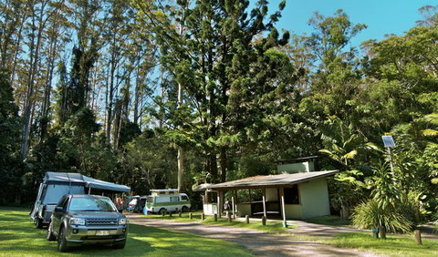 Whian Whian State Conservation Area - Accommodation Cairns 1
