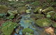 Whian Whian State Conservation Area - thumb 3