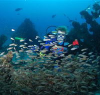 Aarhus Dive Site - Accommodation Cairns