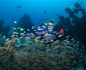 Aarhus Dive Site - Accommodation Cairns 0