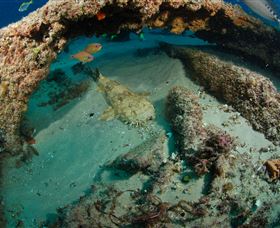 Aarhus Dive Site - Accommodation Cairns 3