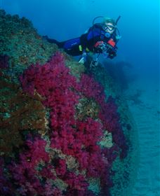 Aarhus Dive Site - Accommodation Cairns 2